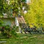 Thumbnail von gruppenhaus-frankreich-mas-de-la-garonne-6-fahrräder-bild 1.jpg