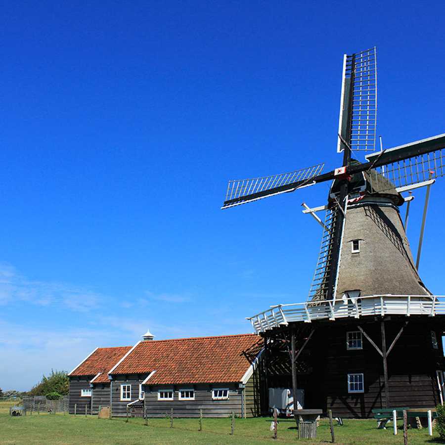 gruppenhaus-niederlande-insel ameland-hof-van-hollum-15-windmühle-bild-1.JPG