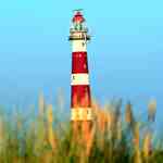Thumbnail von gruppenhaus-niederlande-insel ameland-hof-van-hollum-17-leuchtturm-bild-1.JPG